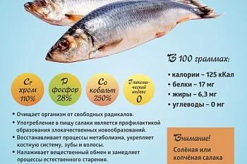 Коротко о полезных продуктах