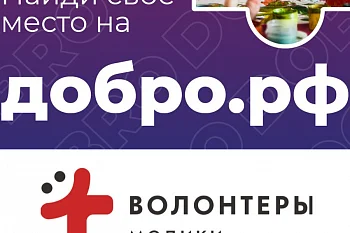 Полезные ссылки по Волонтерской деятельности