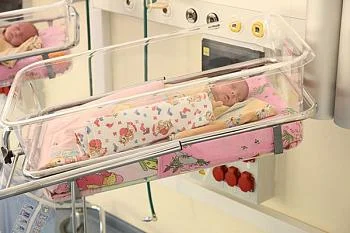 В регионе растет количество семей с тремя детьми В регионе растет количество семей с тремя детьми