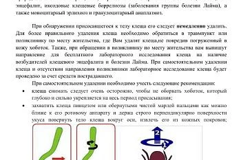 Клещевой энцефалит